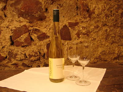 Bild 22 aus  BioWeingut Hauerhof 99