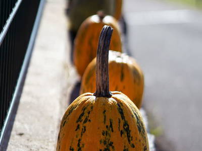 Bild 72 aus  Mühlbauerhof