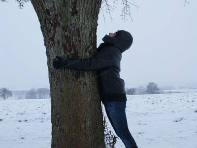 Bild 23 aus  Landhof Pihringer