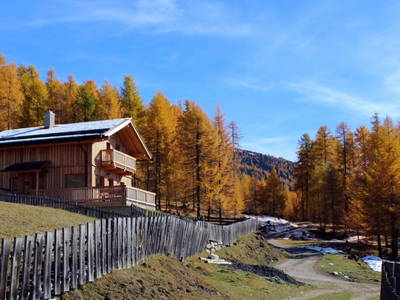 Bild 41 aus  Almerlebnisse Messner