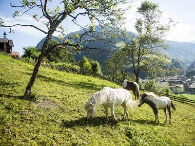 Bild 44 aus  Chalet Gretchenruhe
