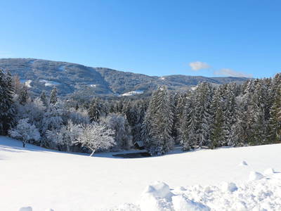 Bild 60 aus  Mallihof