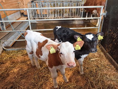 Bild 56 aus  Landhaus Eiter