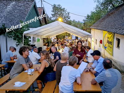 Bild 30 aus  Ferienhaus Weinviertel