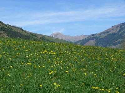 Bild 34 aus  Bio- und Kinderbauernhof Voglbach