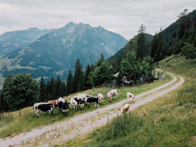 Bild 6 aus  Sonnseit-Hütte