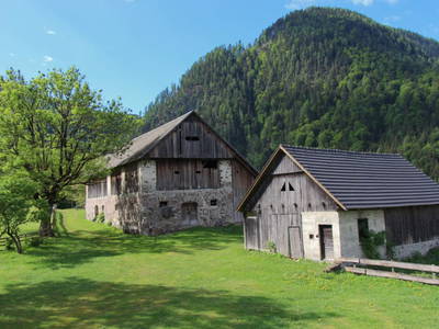 Bild 25 aus  Drautal Alm Schönbuch