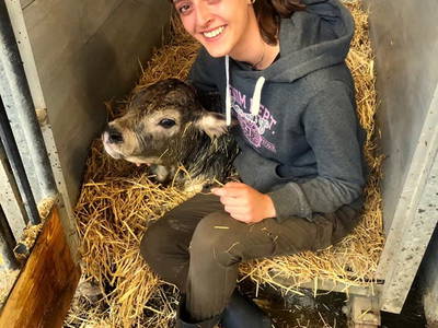 Bild 78 aus  Tobadillerhof Kinderbauernhof Pitztal Tirol