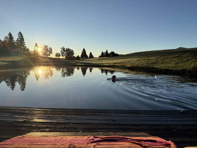 Bild 14 aus  Mösslacherhof