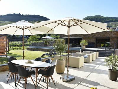 Bild 79 aus  Weingut STRAWANZER Donabaum