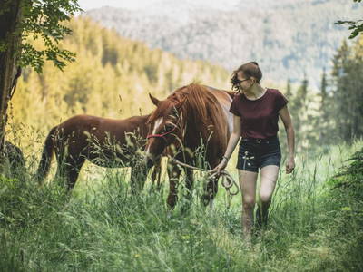 Bild 261 aus  Michlbauer