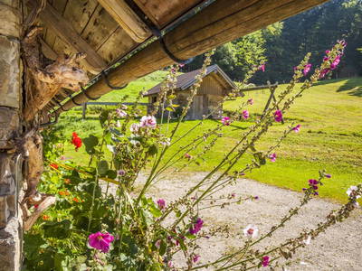 Bild 32 aus  Grögernalm