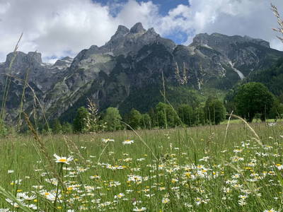 Bild 47 aus  Alpen Appartements Oberlehengut