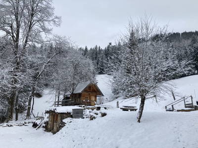 Bild 64 aus  Holzknechthütte
