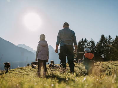 Bild 13 aus  Gasperhof