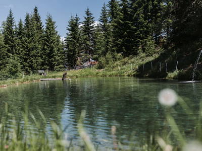 Bild 88 aus  Pension Zechnerhof