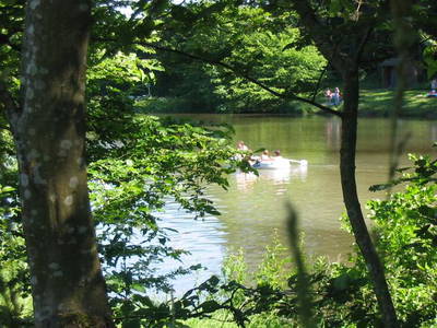 Bild 9 aus  Ferienbauernhof Gräbner