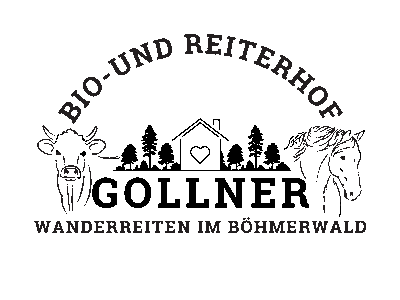 Bild 2 aus  Bio- und Reiterhof Gollner