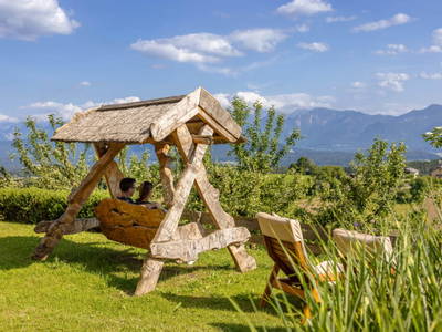 Bild 30 aus  Pleschinhof