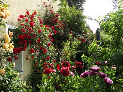 Bild 25 aus  Ferienhof "Familie Groh"