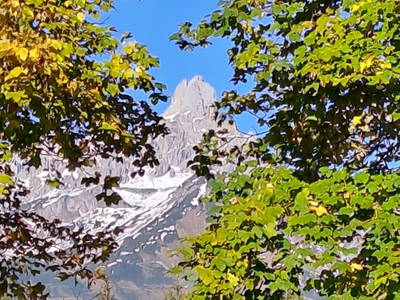 Bild 10 aus  Ransburggut Almhütte