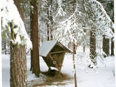 Bild 32 aus  Reitstall Familie Inghofer - Gästehaus & Bauernhof