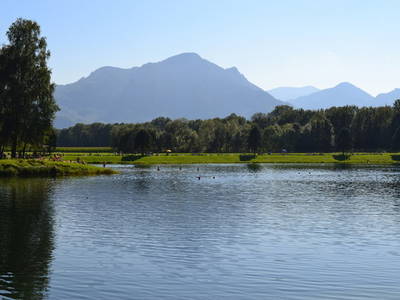 Bild 8 aus  Niederauer Hof