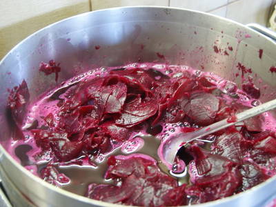 Bild 86 aus  Hartlhof Urlaub am Baby- und Kinderbauernhof