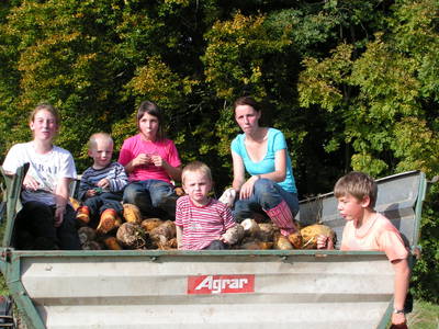 Bild 28 aus  Familien-Bauernhofurlaub im Herzen der Schweiz
