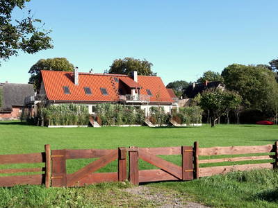 viel Platz zum Austoben und Erholen auf der großen Wiese vor dem Ferienhaus