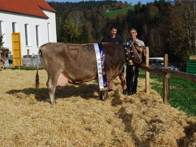 Bild 128 aus  Familie Nußbaumer 