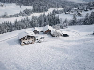 Bild 12 aus  Vorderreit