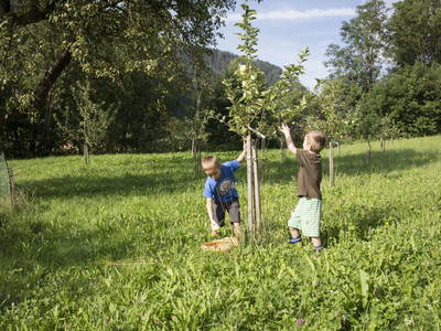 Bild 26 aus  Sturmhof