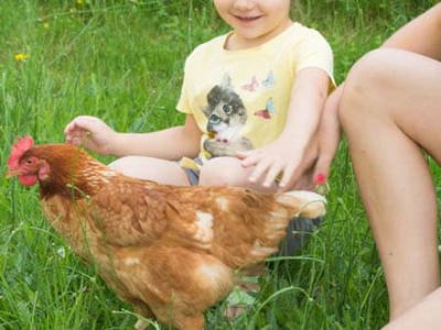 Bild 39 aus  Wolf-Hof