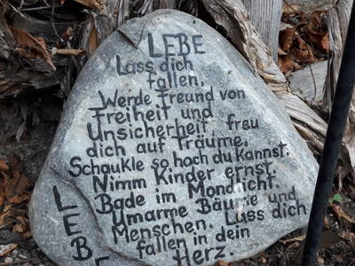 Bild 72 aus  Sturm-Archehof