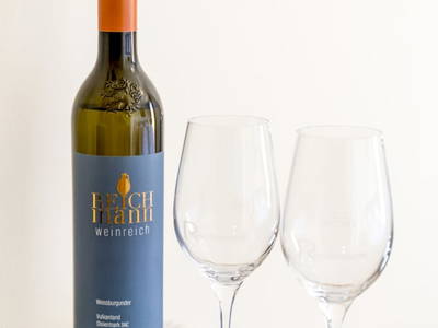 Bild 64 aus  Weinhof Reichmann