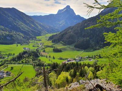 Bild 38 aus  Wolfbauer - Haus 1683