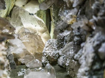 Bild 98 aus  Schwaigerlehen - Berngarten