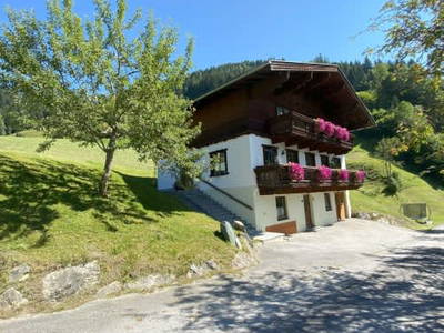 Bild 40 aus  Lambachhof