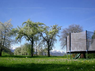 Bild 19 aus  Traunsee - Chalet am Götschhof