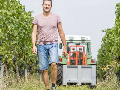 Bild 27 aus  WEIN-Träumerei und WEIN-GUT IBY-LEHRNER