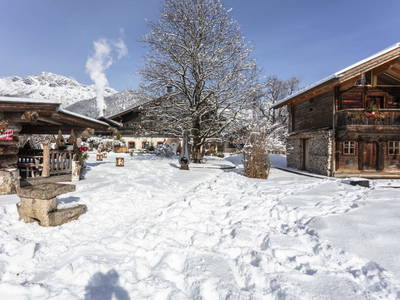 Bild 166 aus  Baby-/Kinderbauernhof Stefflhof