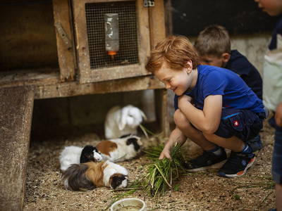 Bild 16 aus  Gut Frielinghausen