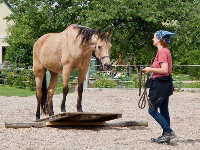 Bild 32 aus  Hacklhof