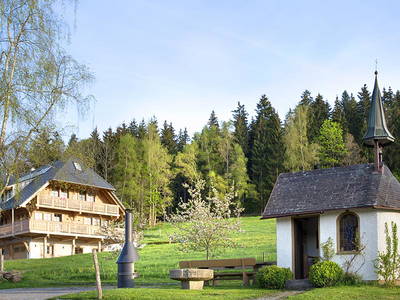 Bild 21 aus  Weberhof am Titisee