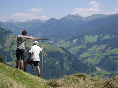 Bild 16 aus  Pfandlinghof