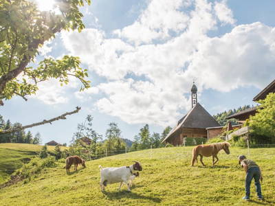 Bild 45 aus  Bio Ferienbauernhof Greber