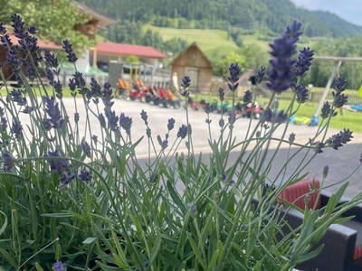 Bild 138 aus  Heisshof 