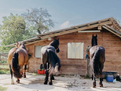 Bild 5 aus  Andis Reiterstüberl