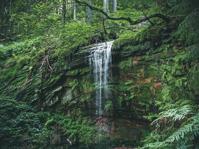 Bild 17 aus  Gutshof Armbruster